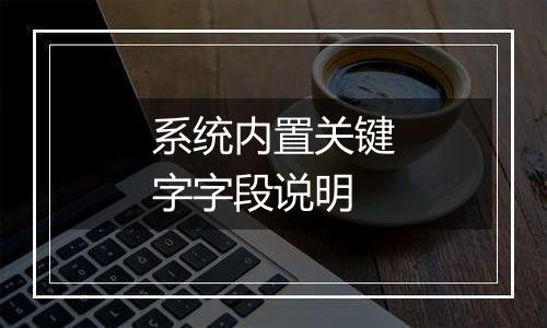 系统内置关键字字段说明