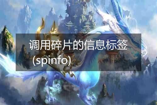 调用碎片的信息标签 (spinfo)