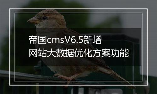 帝国cmsV6.5新增网站大数据优化方案功能
