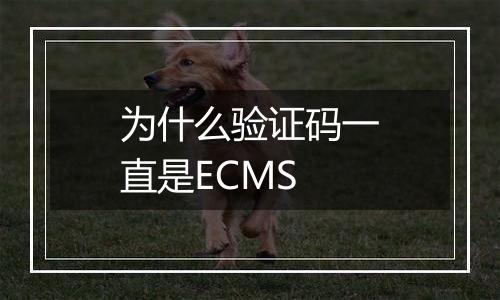 为什么验证码一直是ECMS