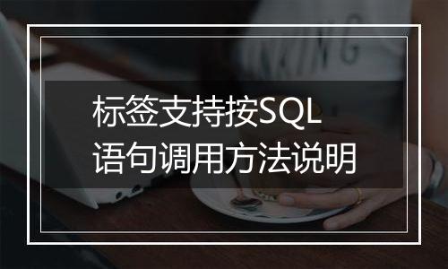 标签支持按SQL语句调用方法说明