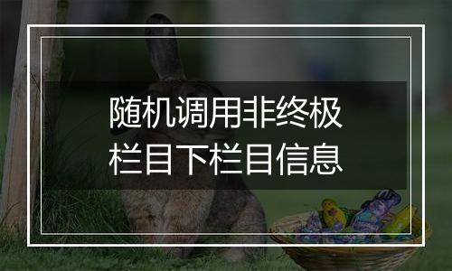 随机调用非终极栏目下栏目信息