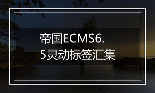 帝国ECMS6.5灵动标签汇集