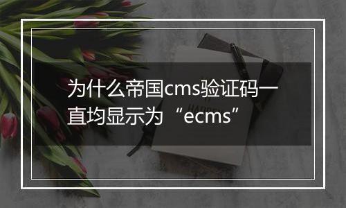 为什么帝国cms验证码一直均显示为“ecms”