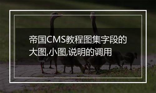 帝国CMS教程图集字段的大图,小图,说明的调用