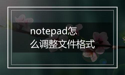 notepad怎么调整文件格式