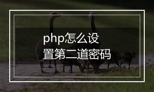 php怎么设置第二道密码