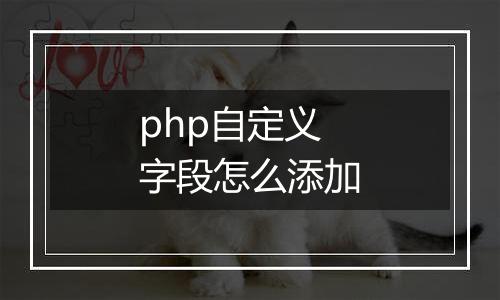 php自定义字段怎么添加