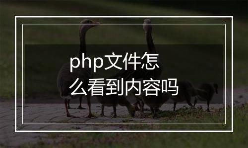 php文件怎么看到内容吗
