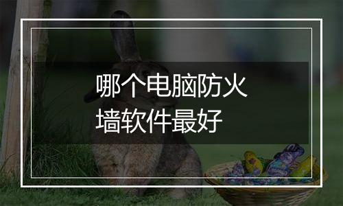 哪个电脑防火墙软件最好