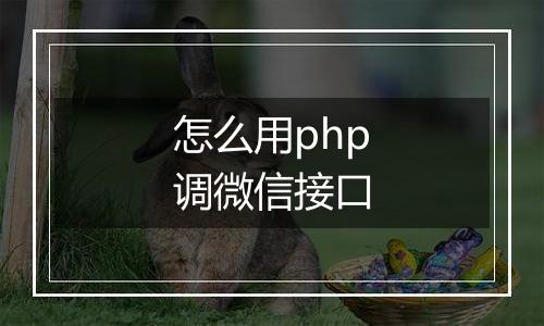 怎么用php调微信接口