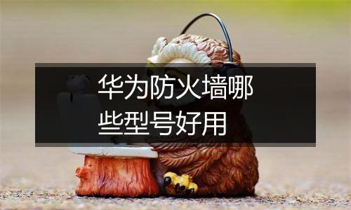 华为防火墙哪些型号好用