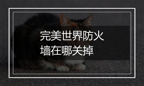 完美世界防火墙在哪关掉