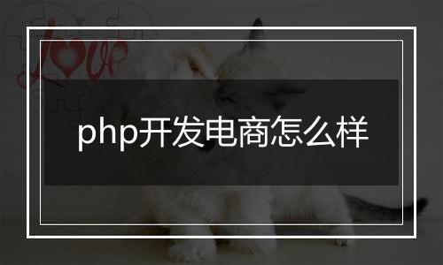 php开发电商怎么样