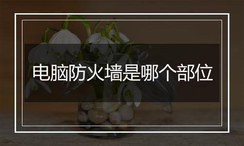 电脑防火墙是哪个部位