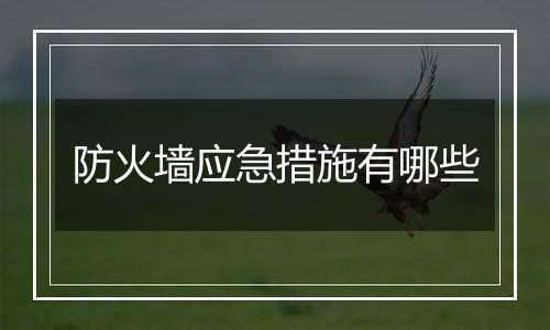 防火墙应急措施有哪些