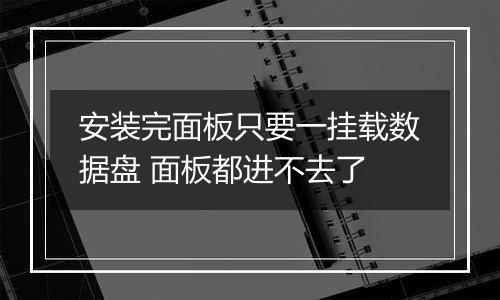 安装完面板只要一挂载数据盘 面板都进不去了