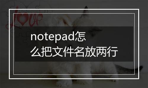 notepad怎么把文件名放两行