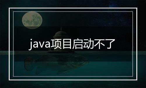 java项目启动不了