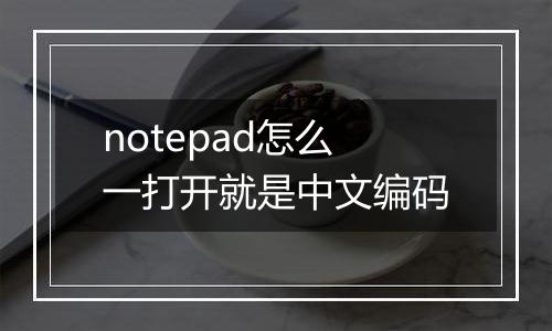 notepad怎么一打开就是中文编码