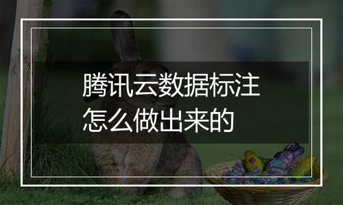 腾讯云数据标注怎么做出来的