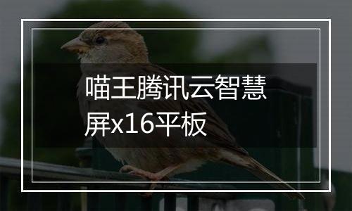 喵王腾讯云智慧屏x16平板
