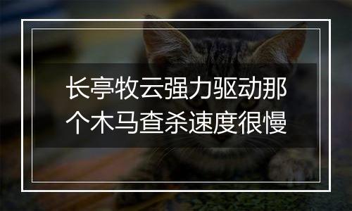 长亭牧云强力驱动那个木马查杀速度很慢