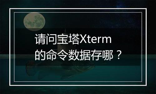 请问宝塔Xterm的命令数据存哪?
