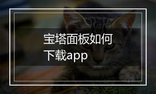 宝塔面板如何下载app
