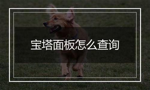 宝塔面板怎么查询