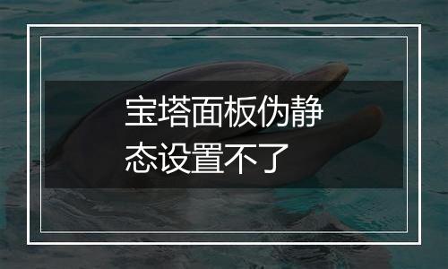宝塔面板伪静态设置不了