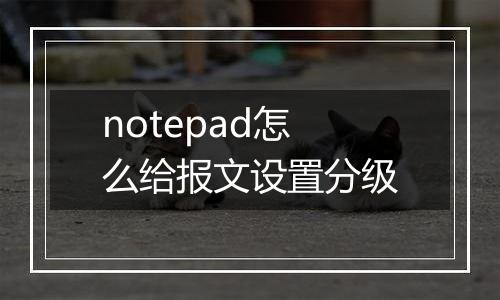 notepad怎么给报文设置分级