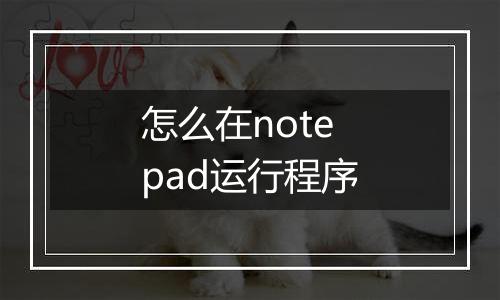 怎么在notepad运行程序