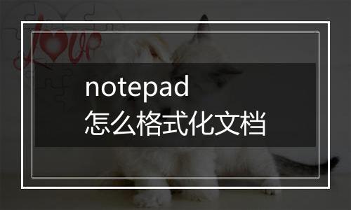 notepad怎么格式化文档