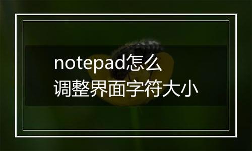 notepad怎么调整界面字符大小