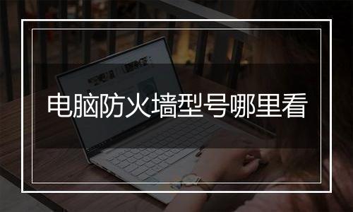电脑防火墙型号哪里看