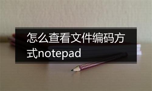 怎么查看文件编码方式notepad