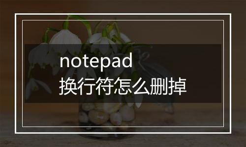 notepad换行符怎么删掉
