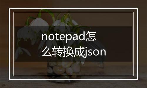 notepad怎么转换成json