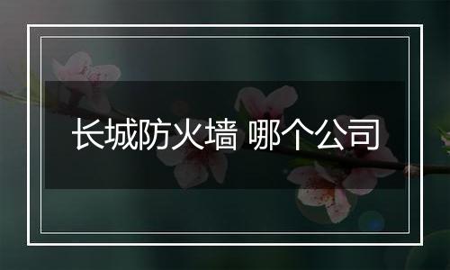 长城防火墙 哪个公司