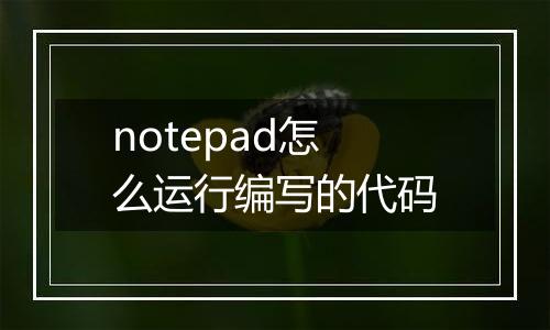 notepad怎么运行编写的代码