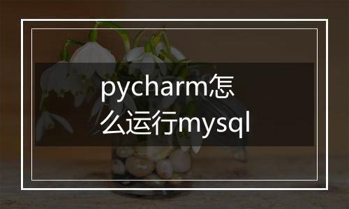 pycharm怎么运行mysql