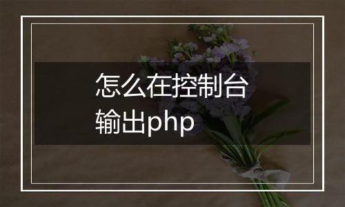 怎么在控制台输出php