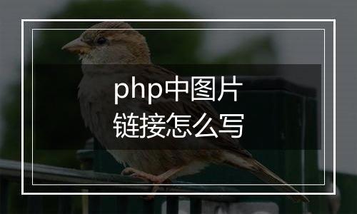 php中图片链接怎么写