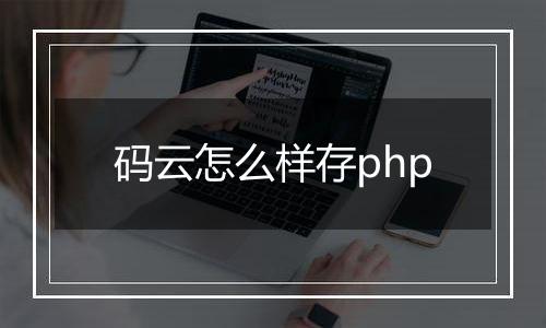 码云怎么样存php