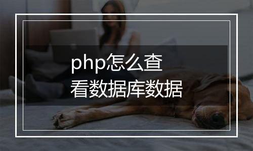 php怎么查看数据库数据