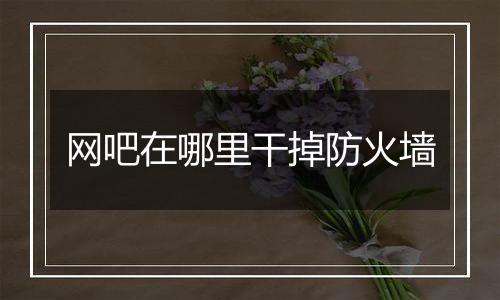 网吧在哪里干掉防火墙