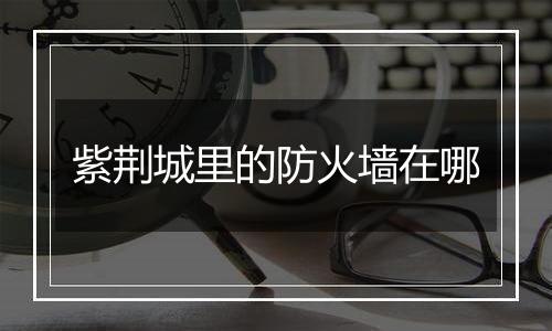 紫荆城里的防火墙在哪