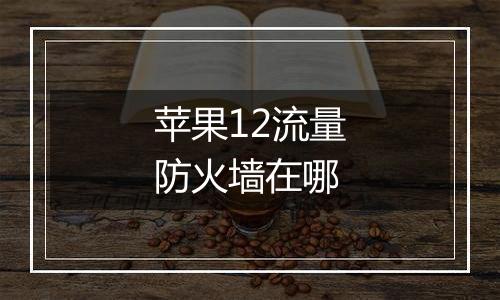 苹果12流量防火墙在哪
