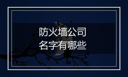防火墙公司 名字有哪些
